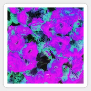 Glowing Pink Kalanchoe Plant Sticker